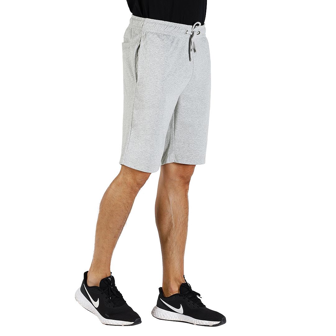BOXER – Pepeljasta