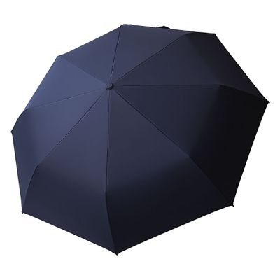 RAIN – Plava 2